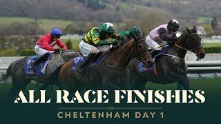 cheltenham 2024 day 2|ALL RACE FINISHES FROM DAY 2 OF THE 2024 .